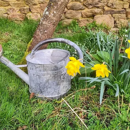 Chez Marie Roulotte * Pontfarcy