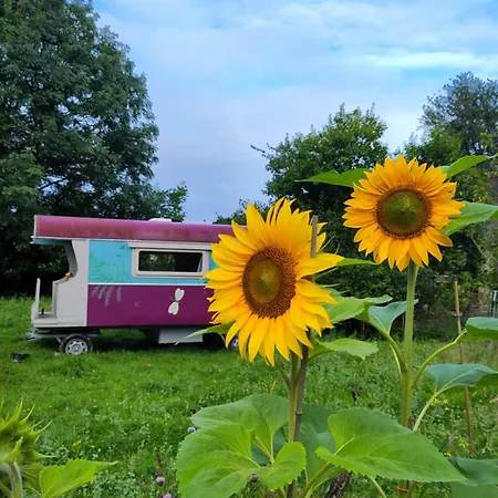 Camping Chez Marie Roulotte *