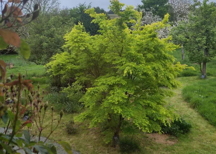 Campsite Chez Marie Roulotte Pontfarcy