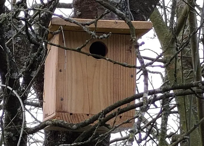 Kemping Chez Marie Roulotte Pontfarcy