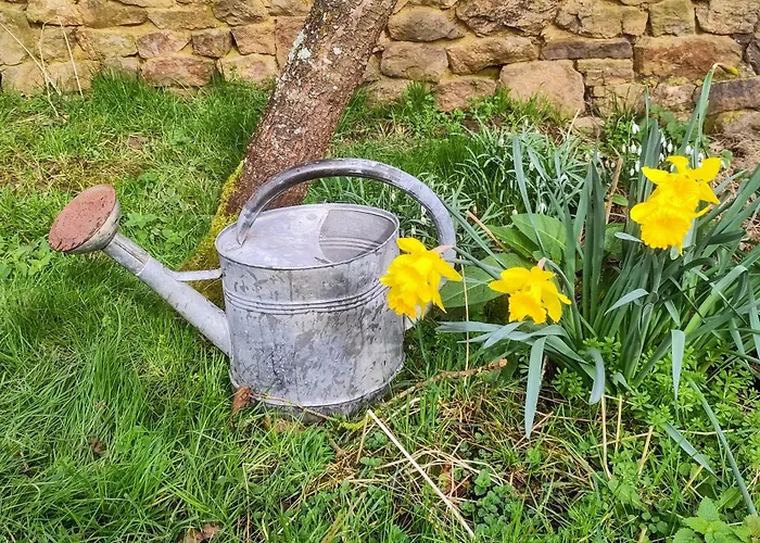 Chez Marie Roulotte * Pontfarcy