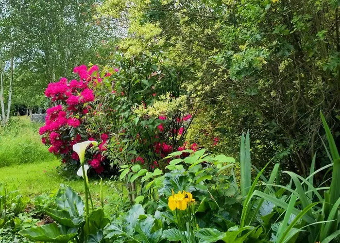 Chez Marie Roulotte * Pontfarcy