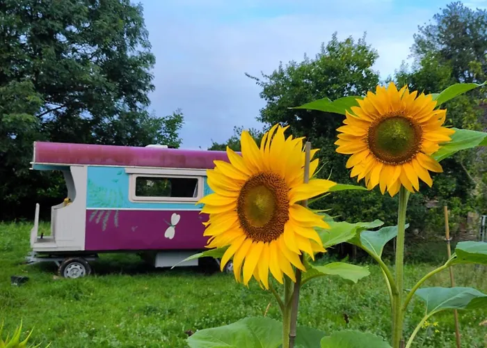 Campingplads Chez Marie Roulotte *